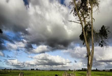 出行指南图片最新图片高清，出行指引