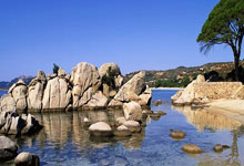 出行指南图片最新图片高清，出行指引